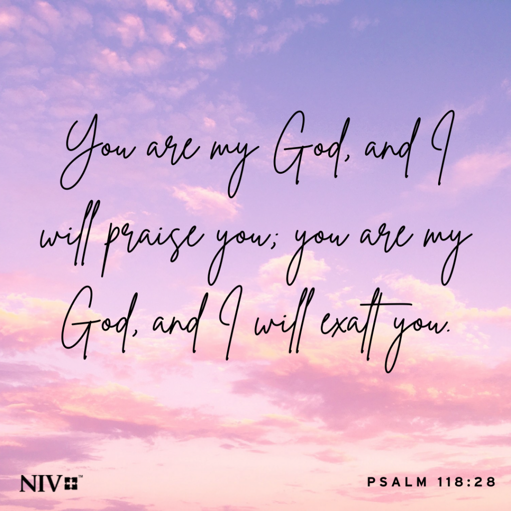 NIV Verse Of The Day Psalm 118 28