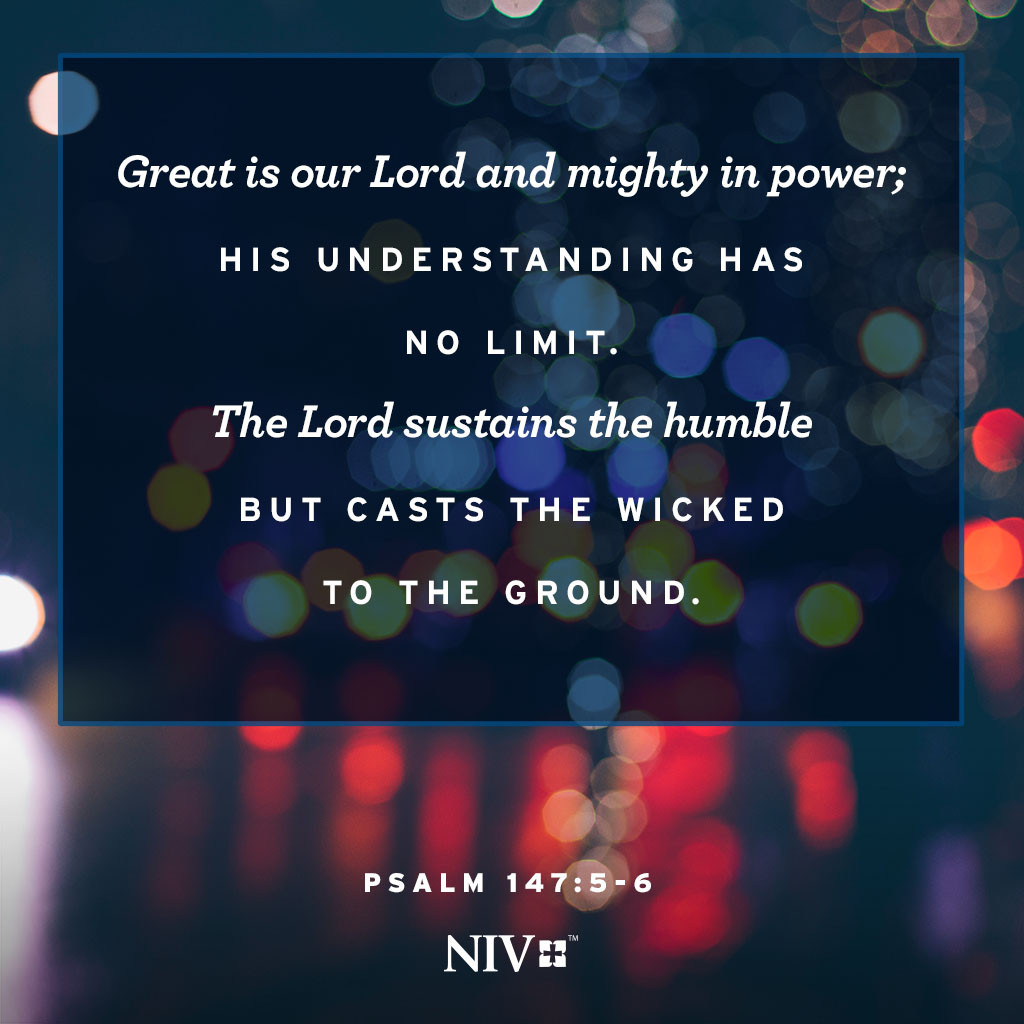 niv-verse-of-the-day-psalm-147-5-6
