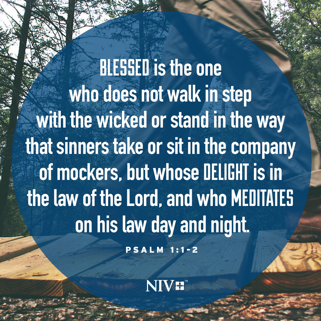 NIV Verse of the Day: Psalm 1:1-2
