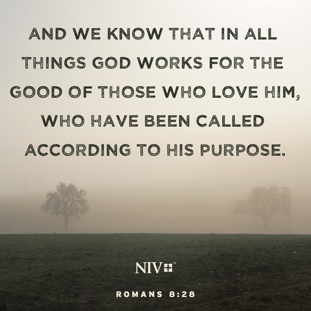 Romans 8:28 And we know that in all things God works for the good