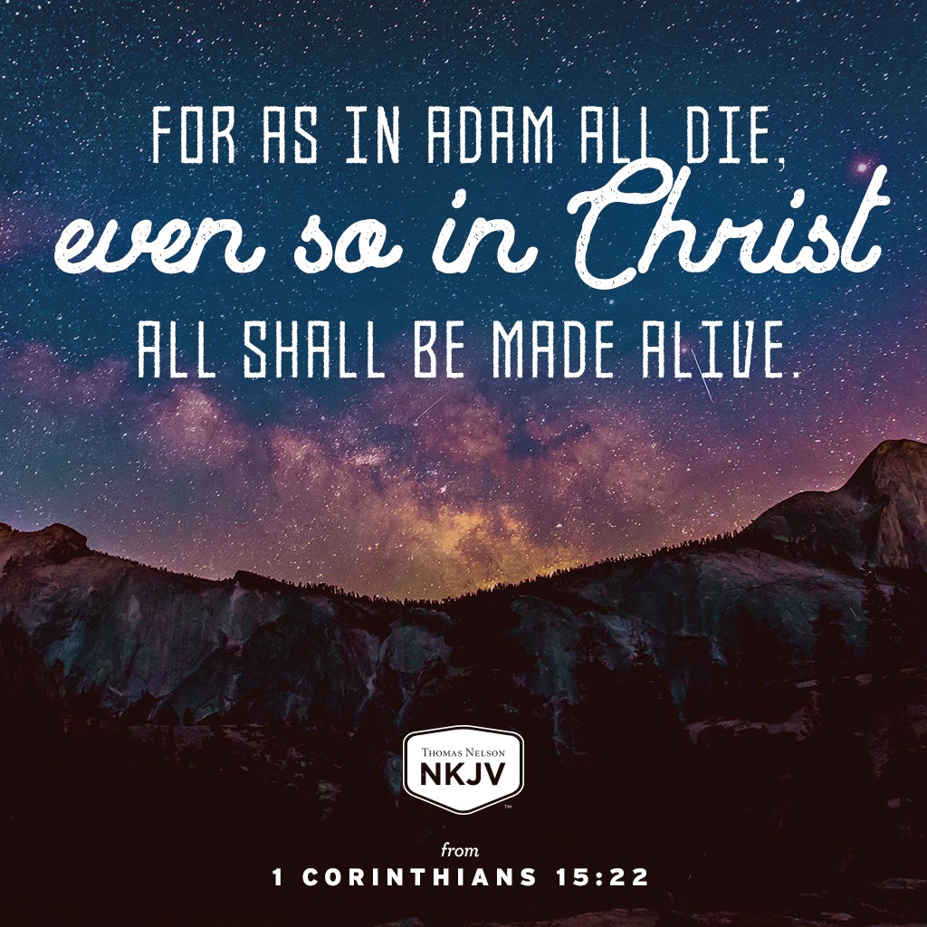 NKJV Verse of the Day 1 Corinthians 15 20 22