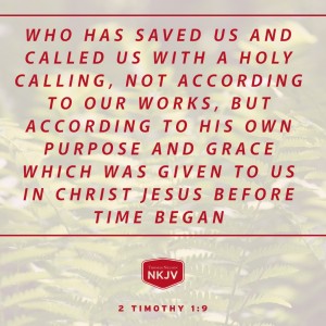 2 timothy 1 6 9 nkjv