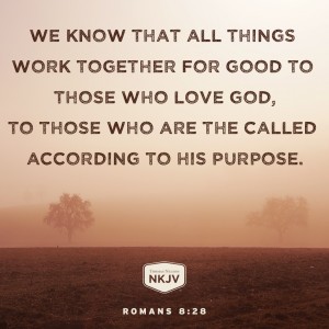 NKJV Verse of the Day: Romans 8:28