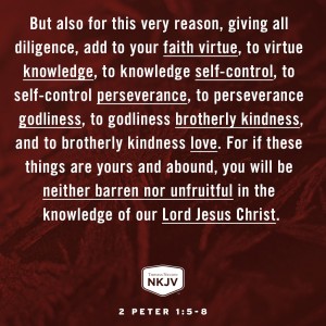 NKJV Verse of the Day: 2 Peter 1:5-8