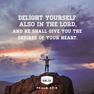 NKJV Verse of the Day: Psalm 37:4