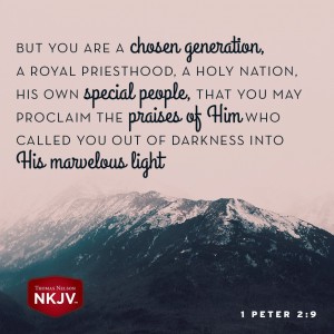 2 peter 2 22 nkjv