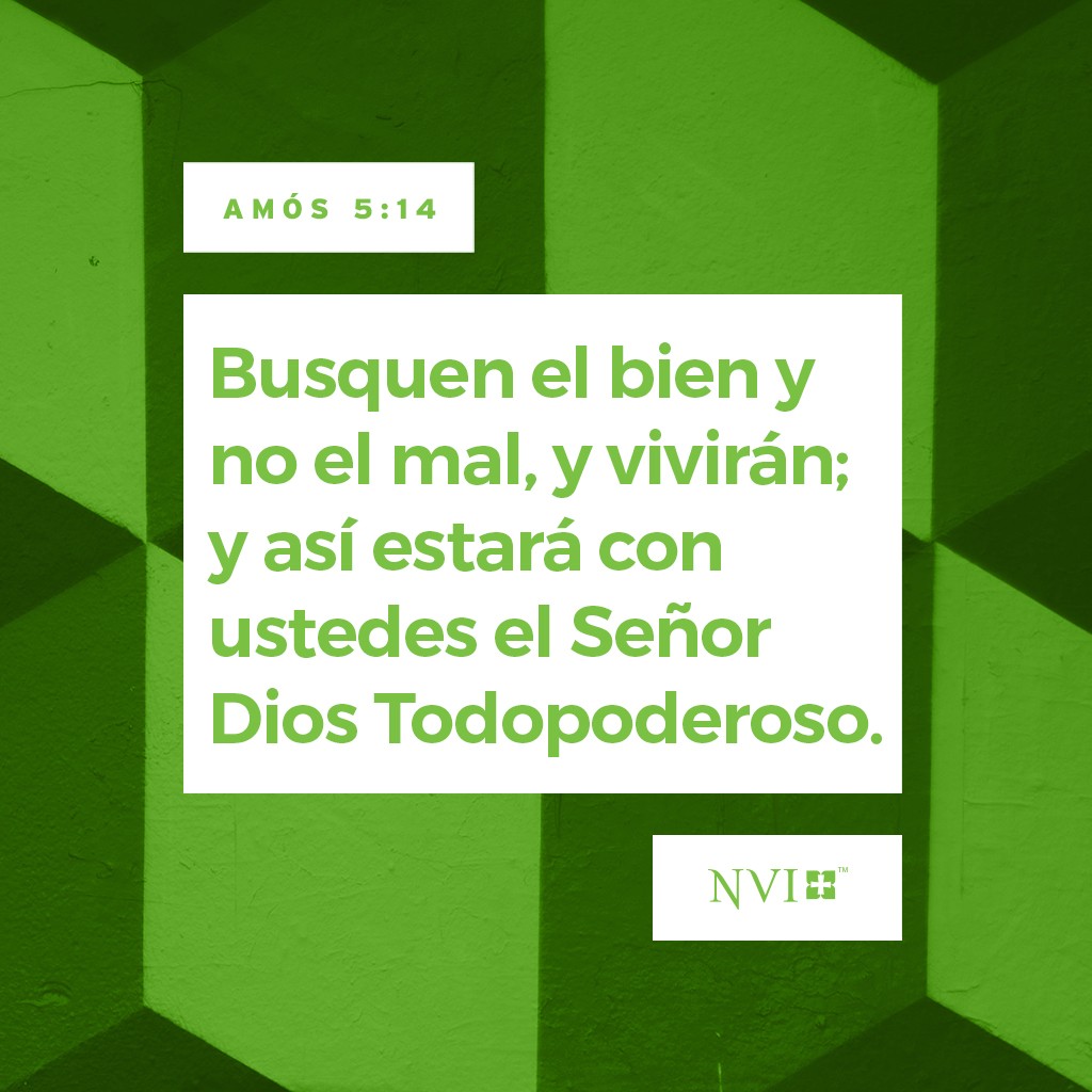Busquen el bien y no el mal, y vivirán;
    y así estará con ustedes el Señor Dios Todopoderoso,
    tal como ustedes lo afirman.
¡Odien el mal y amen el bien!
    Hagan que impere la justicia en los tribunales;
tal vez así el Señor, el Dios Todopoderoso,
    tenga compasión del remanente de José. Amós 5:14-15
