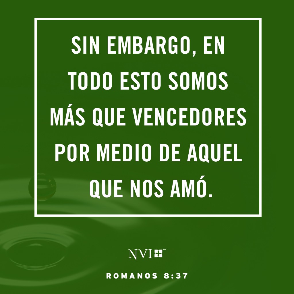 ¿Quién nos apartará del amor de Cristo? ¿La tribulación, o la angustia, la persecución, el hambre, la indigencia, el peligro, o la violencia? Así está escrito:
«Por tu causa siempre nos llevan a la muerte;
    ¡nos tratan como a ovejas para el matadero!»
Sin embargo, en todo esto somos más que vencedores por medio de aquel que nos amó. Romanos 8:35-37