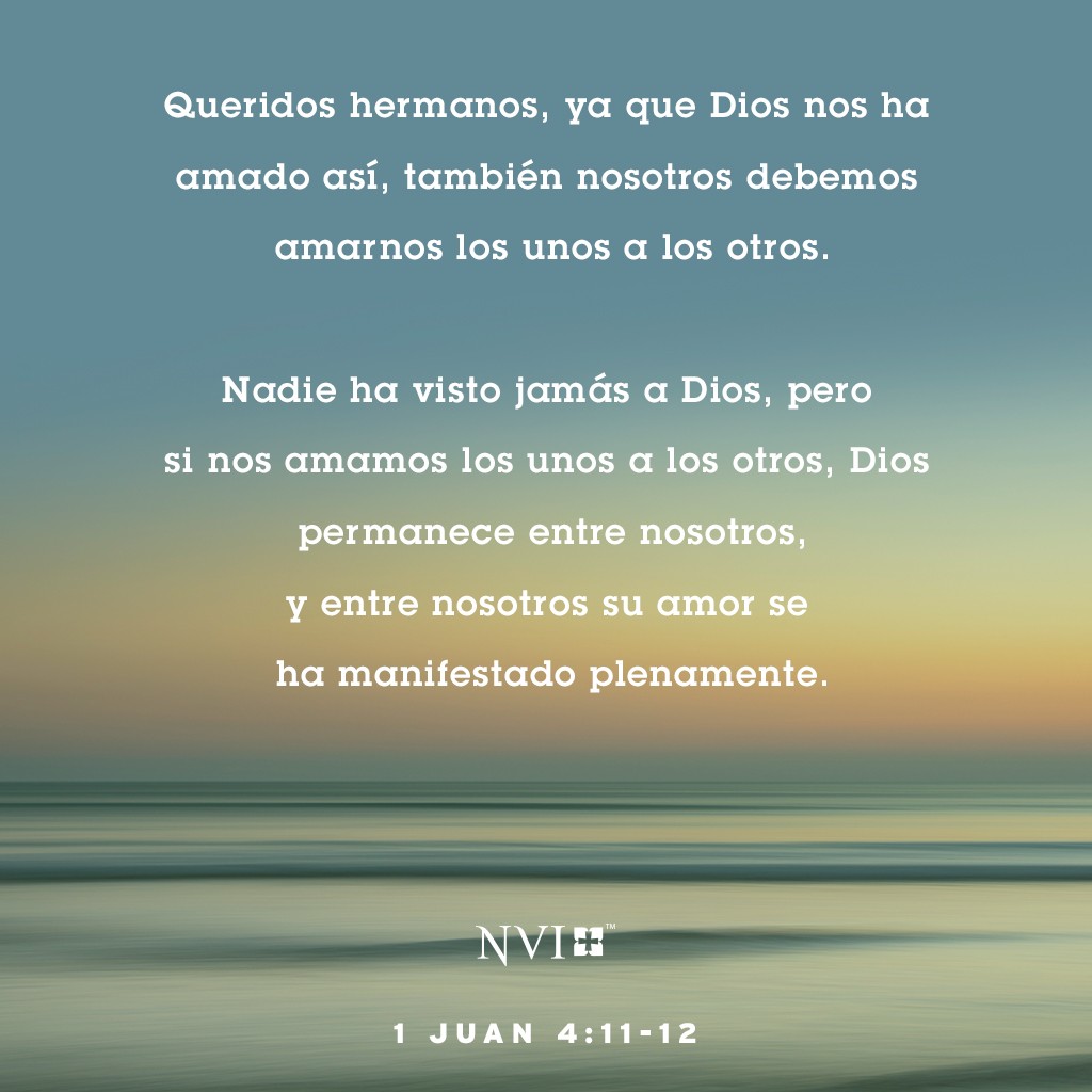 Queridos hermanos, ya que Dios nos ha amado así, también nosotros debemos amarnos los unos a los otros. Nadie ha visto jamás a Dios, pero si nos amamos los unos a los otros, Dios permanece entre nosotros, y entre nosotros su amor se ha manifestado plenamente. 1 Juan 4:11-12