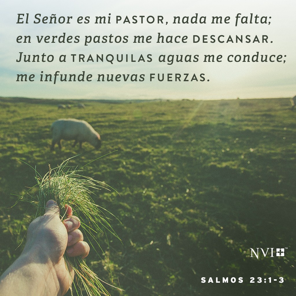 Salmo 23:1-3 - Bíblia