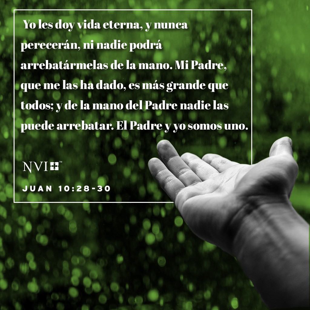 Versículo Bíblico Diario NVI: Juan 10:28-30