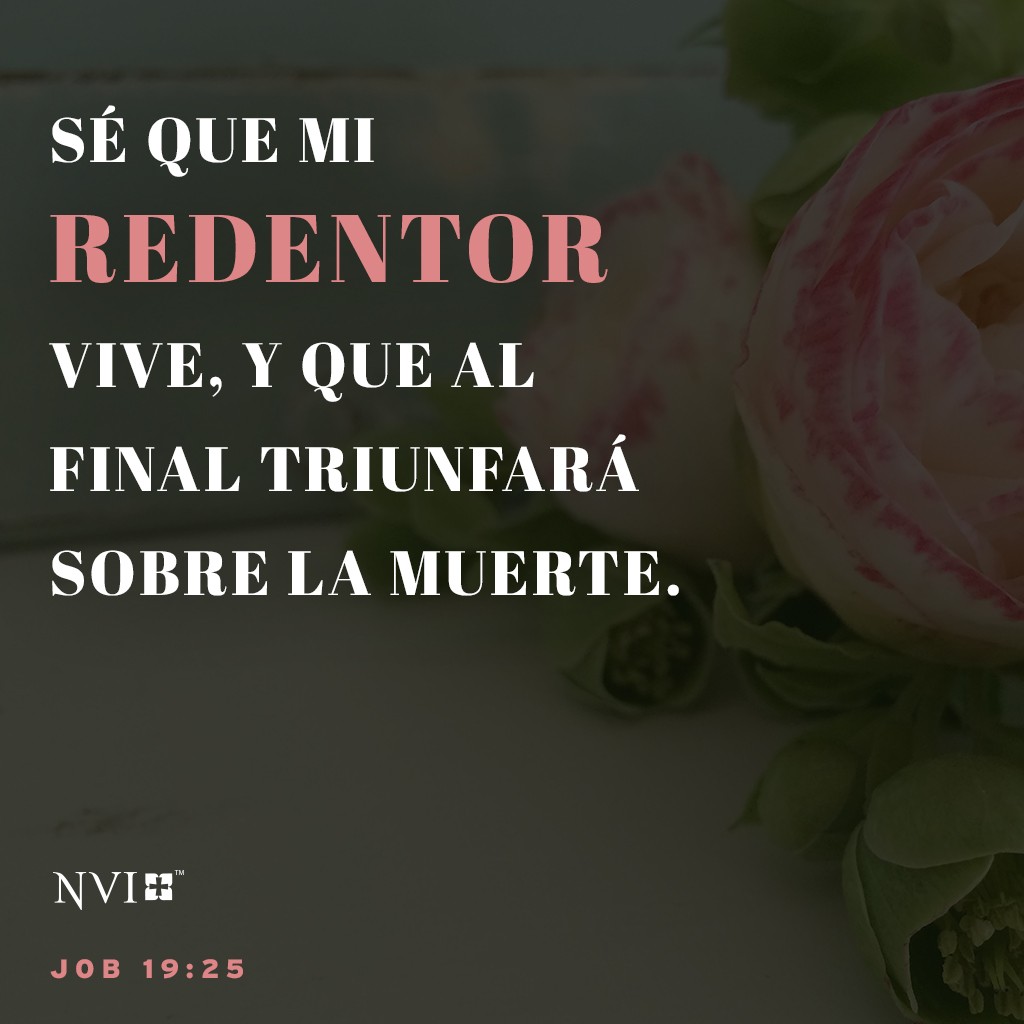 Sé que mi redentor vive,
    y que al final triunfará sobre la muerte. Job 19:25