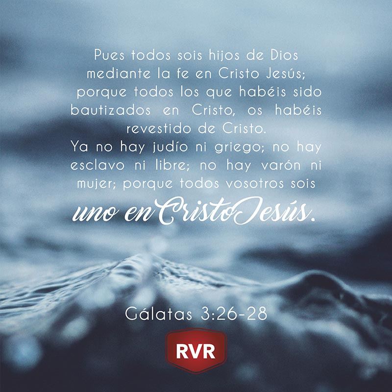 …pues todos sois hijos de Dios mediante la fe en Cristo Jesús; porque todos los que habéis sido bautizados en Cristo, os habéis revestido de Cristo. Ya no hay judío ni griego; no hay esclavo ni libre; no hay varón ni mujer; porque todos vosotros sois uno en Cristo Jesús. Gálatas 3:26-28