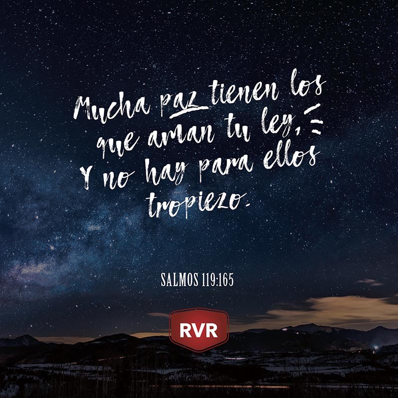 RVR Vers culo B blico Diario Salmos 119 165