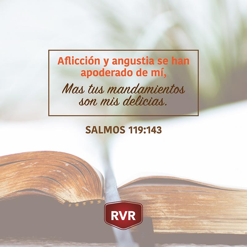 Aflicción y angustia se han apoderado de mí, Mas tus mandamientos son mis delicias. Salmos 119:143