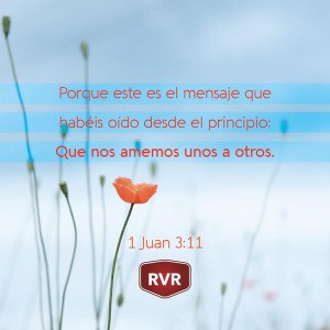 RVR Versículo Bíblico Diario: 1 Juan 3:11